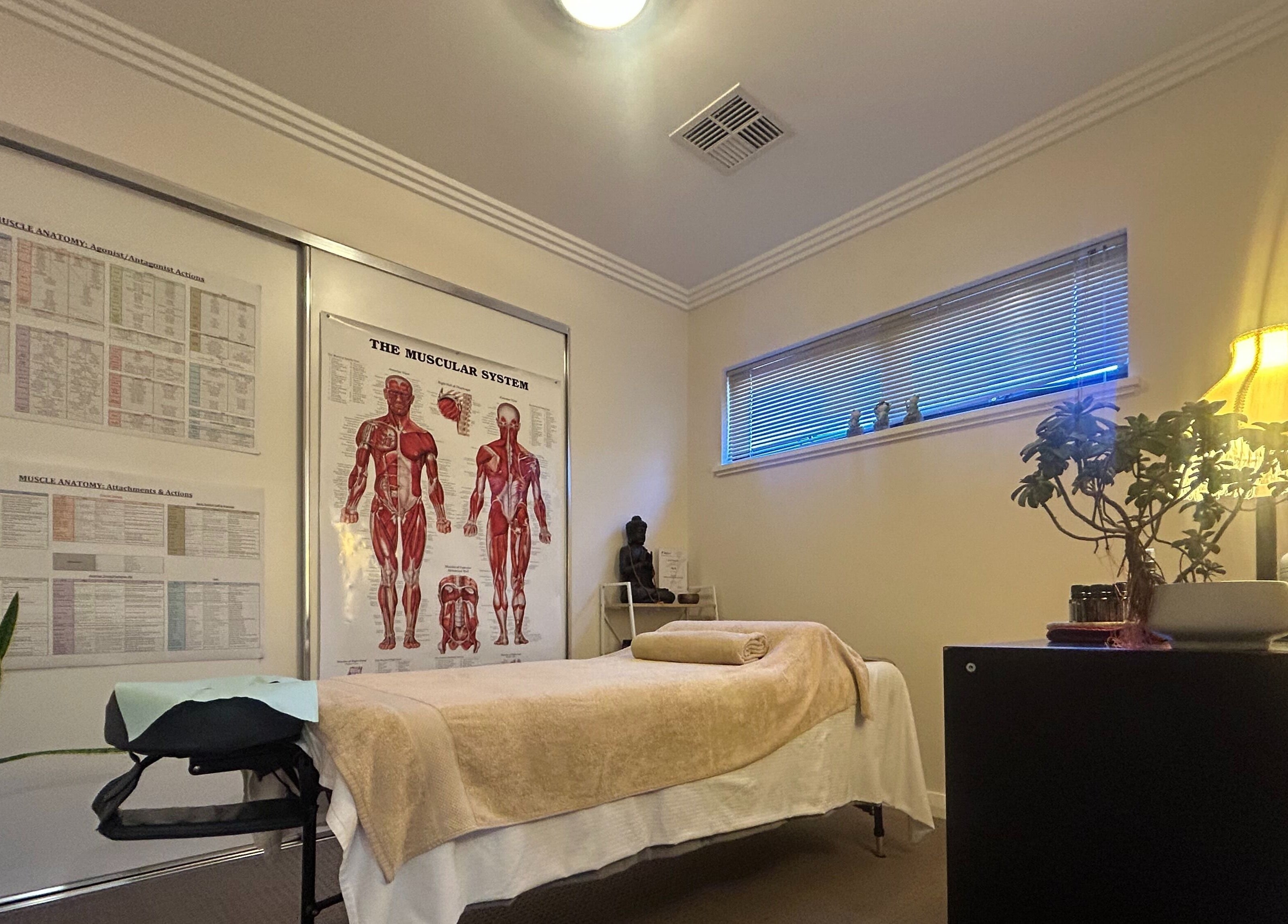 Tranquil therapy room at Move With Jase, Dianella, Western Australia, AU, featuring anatomy charts and soft lighting.