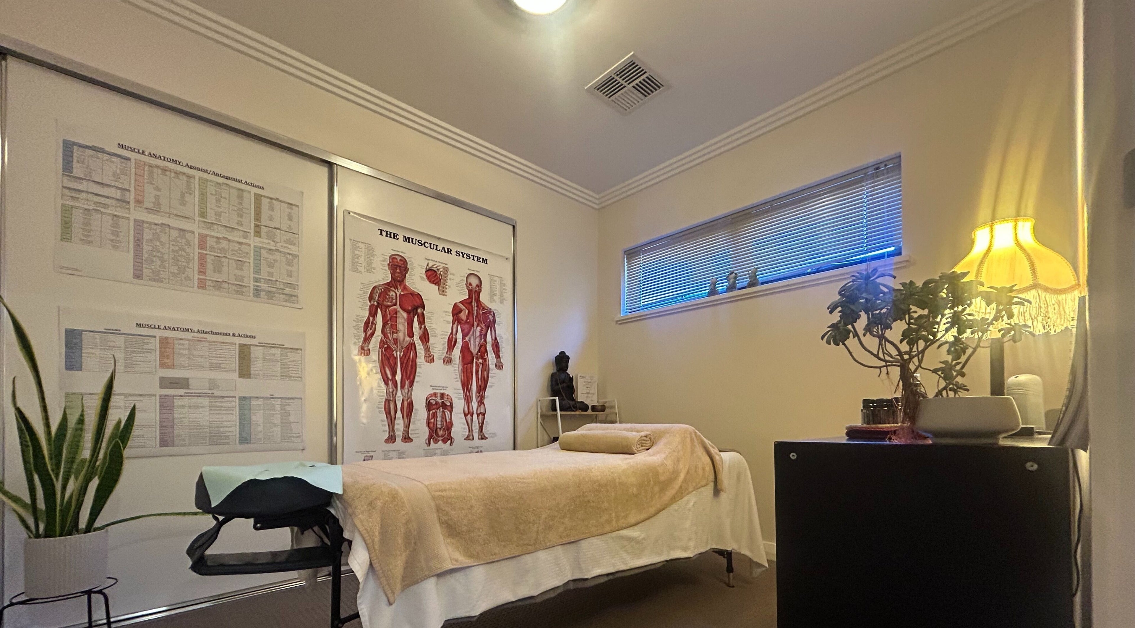 Tranquil therapy room at Move With Jase, Dianella, Western Australia, AU, featuring anatomy charts and soft lighting.