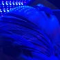 Bronx Moon Esthetics
