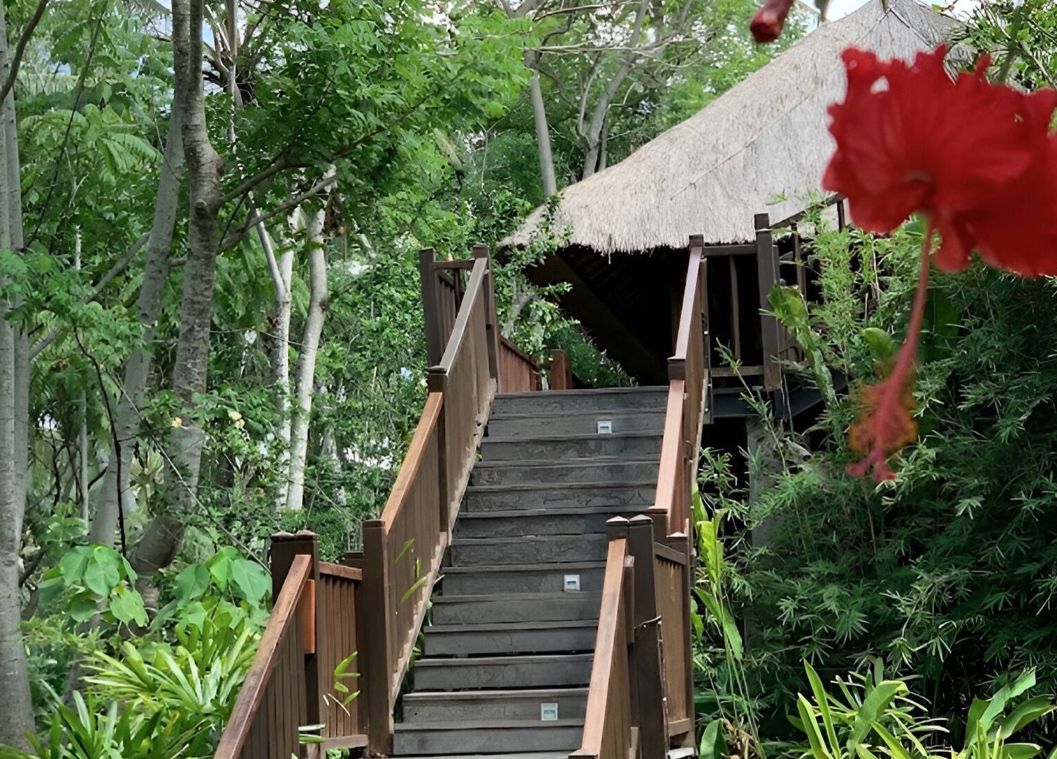 Wooden steps lead to Kayumanis Spa Ubud's tranquil retreat in lush greenery, Bali, Bali, ID.