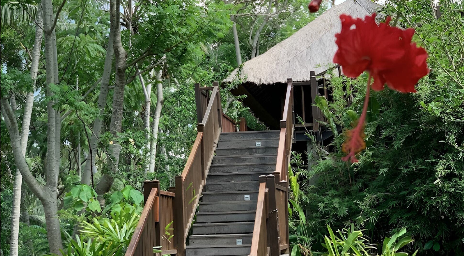 Wooden steps lead to Kayumanis Spa Ubud's tranquil retreat in lush greenery, Bali, Bali, ID.