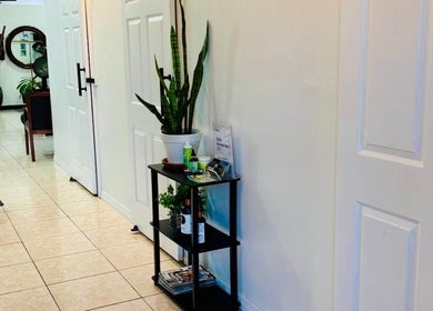 Elegant hallway at Arelis Beauty Salon, Orlando, Florida, US, showcasing a sleek plant display and comfortable seating.