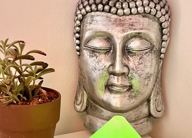 Buddha statue with plant at Gower Garden Therapies, Southgate, Wales, GB, promoting tranquility and peace.