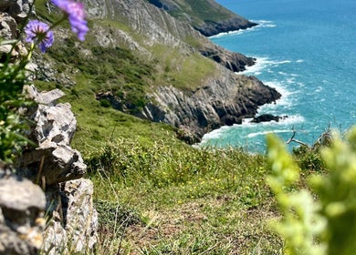Scenic coastal view near Gower Garden Therapies in Southgate, Wales, GB showcasing rocky cliffs and ocean.