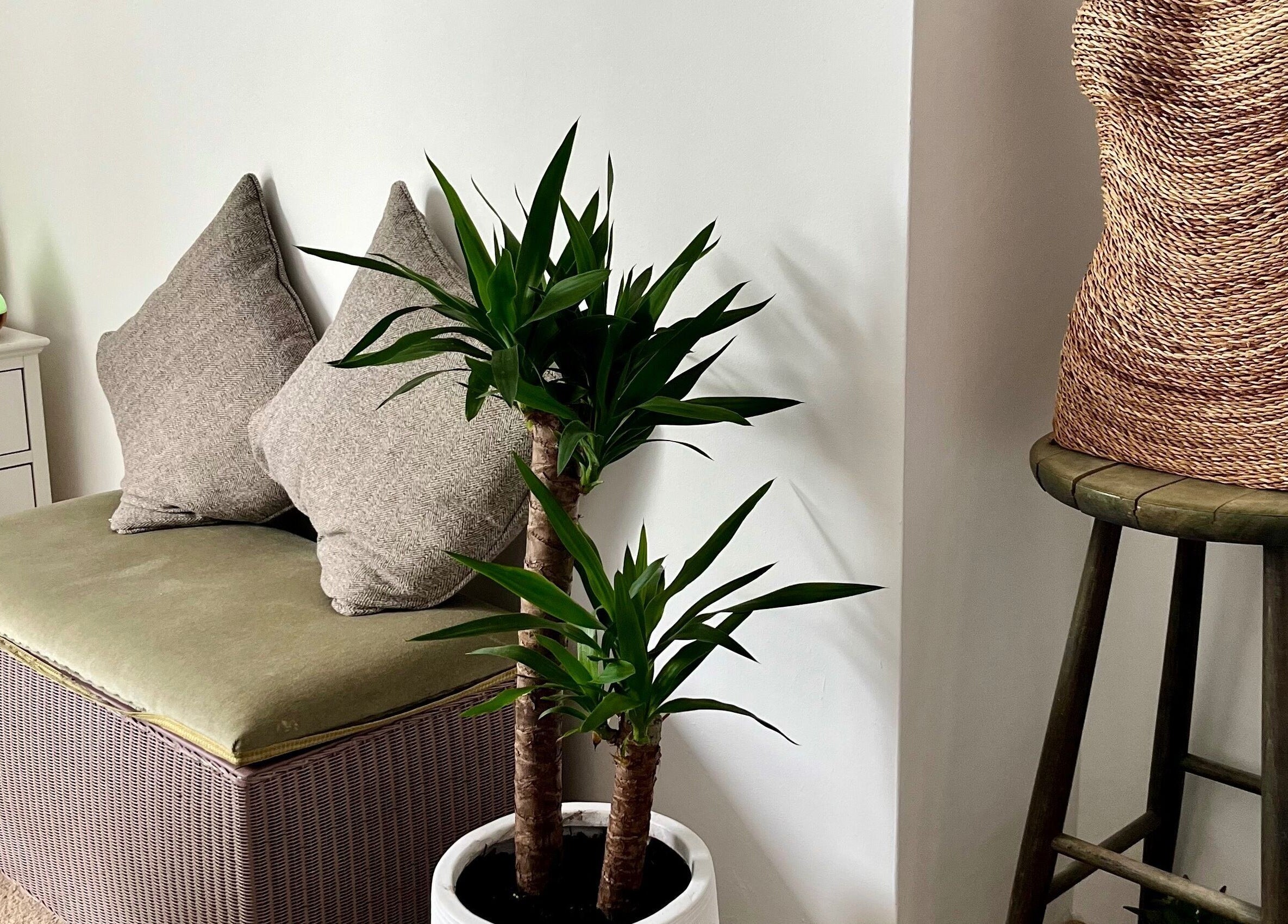 Cozy seating with decor at Gower Garden Therapies, Southgate, Wales, GB. Ideal for relaxation and wellness.