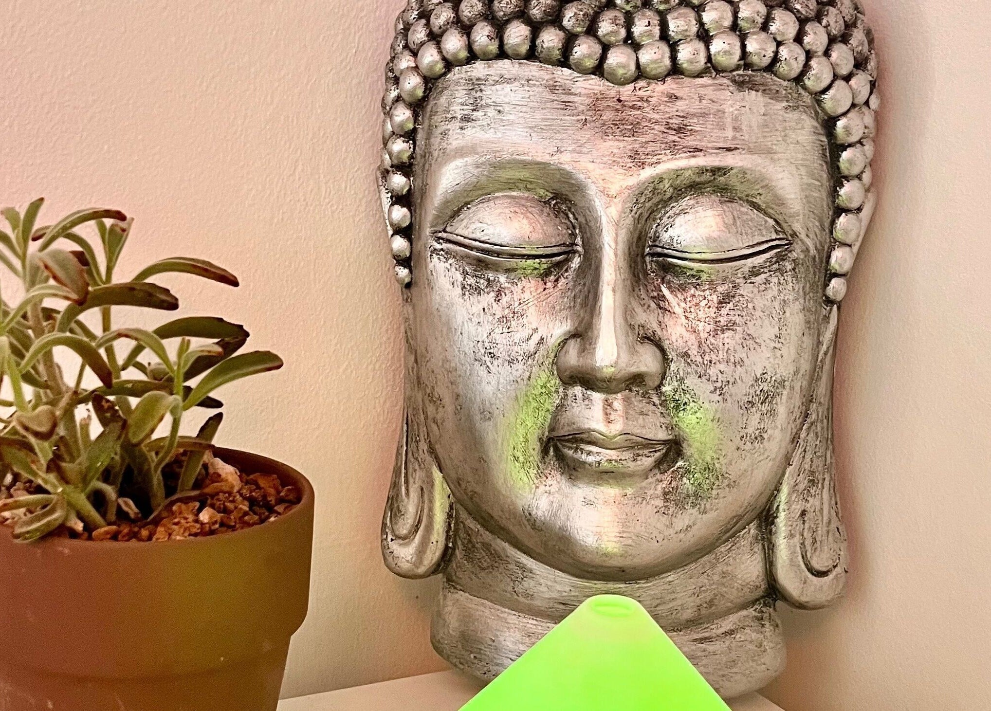 Serene Buddha statue and plant decor at Gower Garden Therapies, Southgate, Wales, GB.