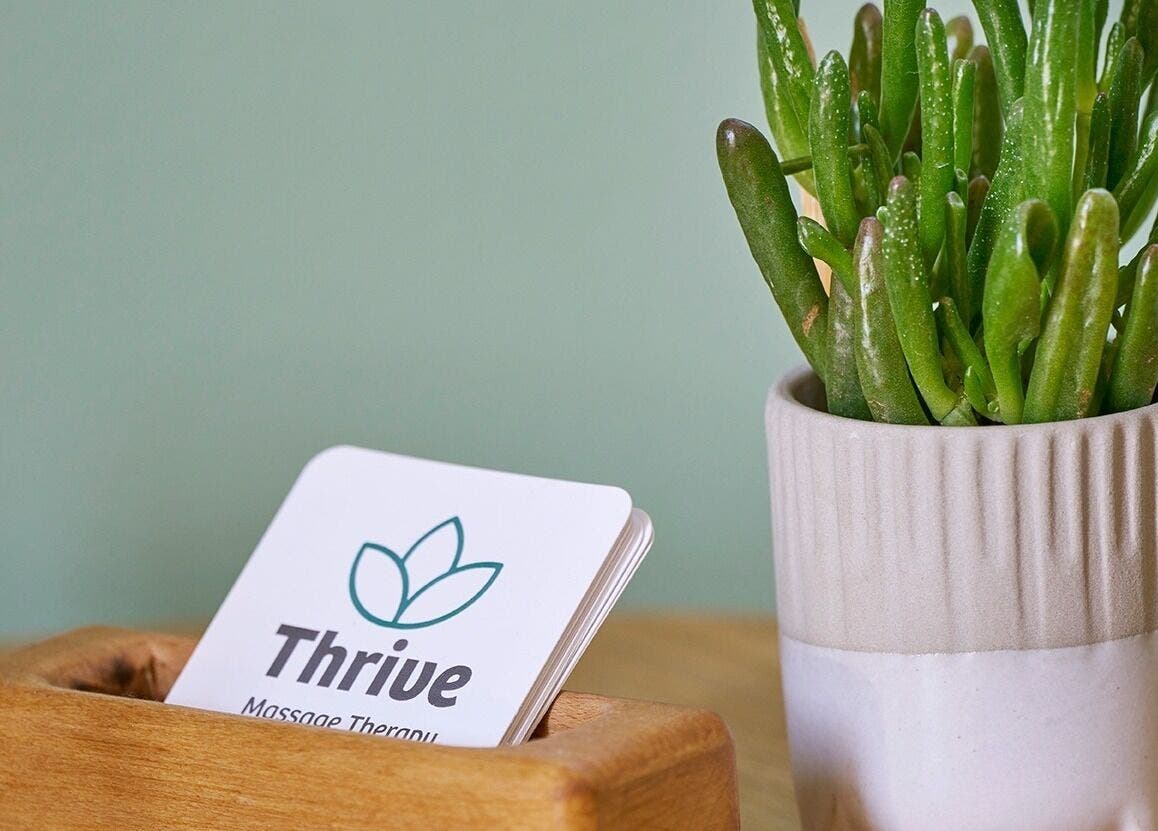 Relaxing scene at Thrive Therapies, Bideford, England, GB with a potted plant and business cards on display.