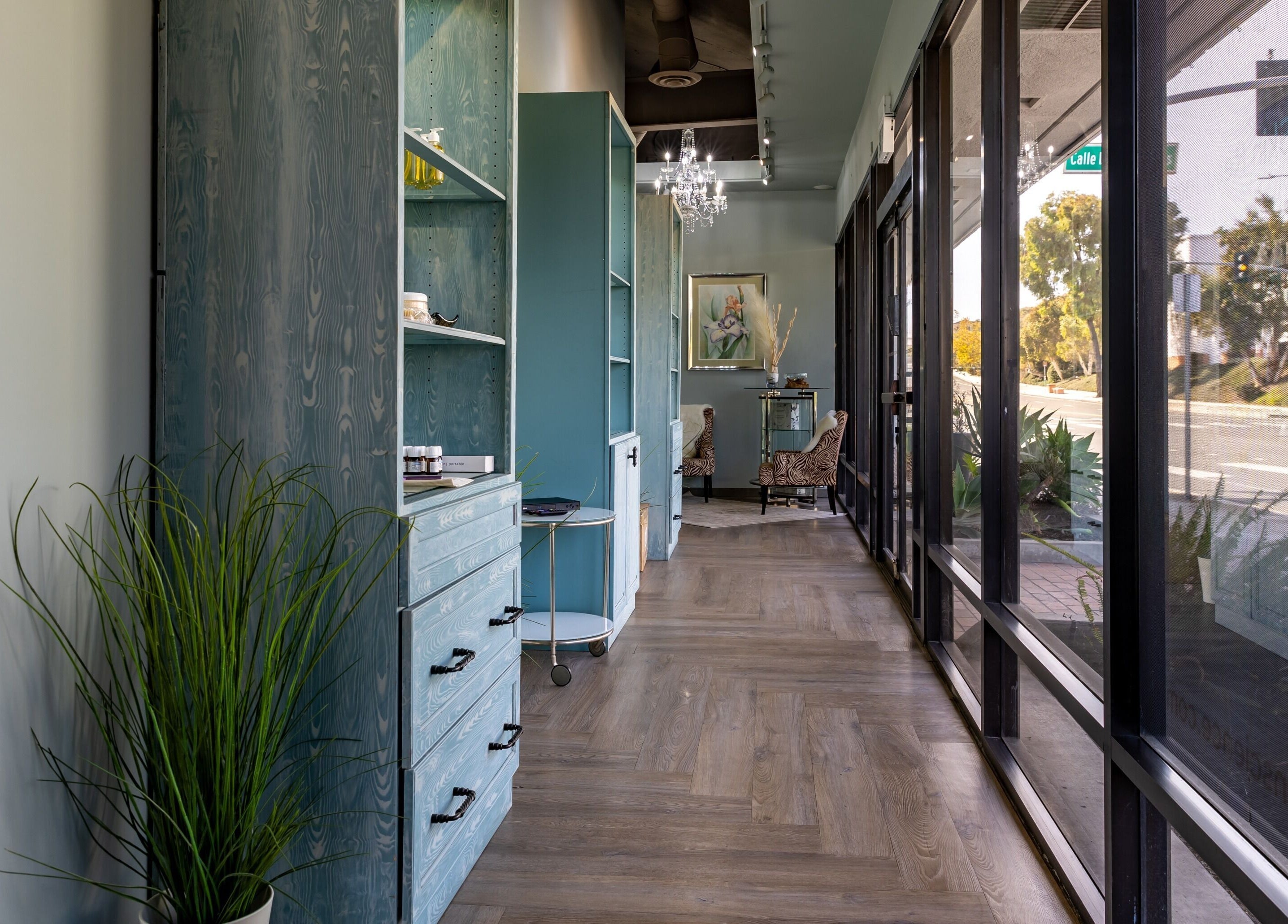 Elegant spa hallway at Pure Skin Science Organic Lab and Spa, San Clemente, California with natural lighting.