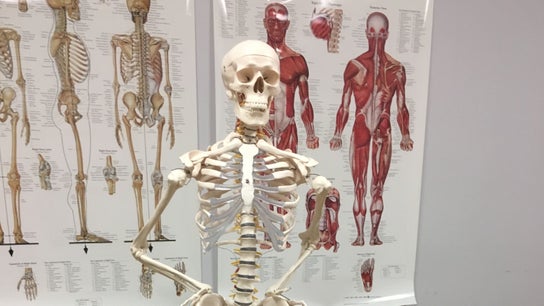 Core Therapies 5