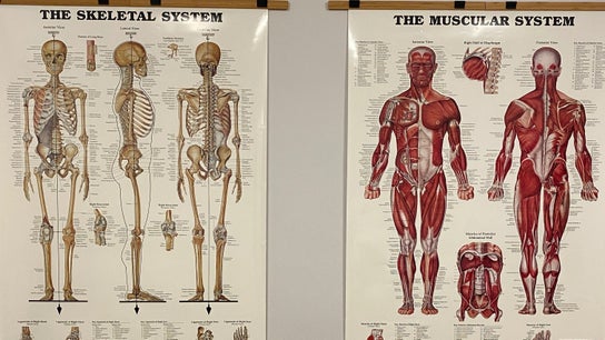 Core Therapies 6