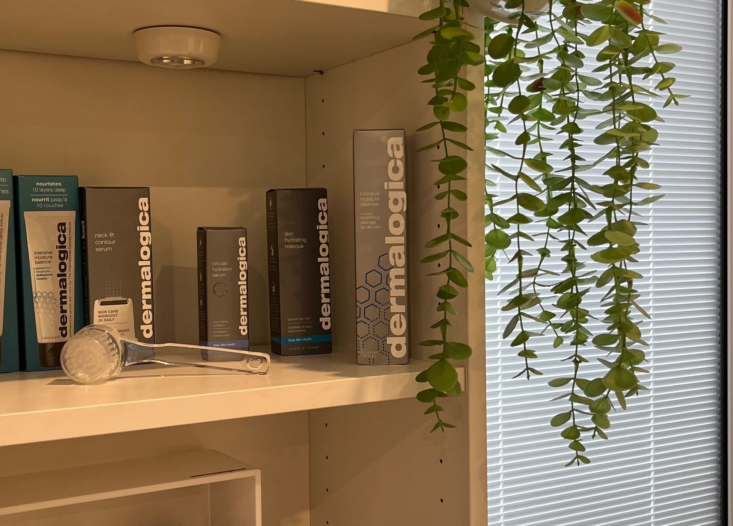Shelves with Dermalogica products at Ls Aesthetics, Miskin, Wales, GB, adorned with decorative greenery.