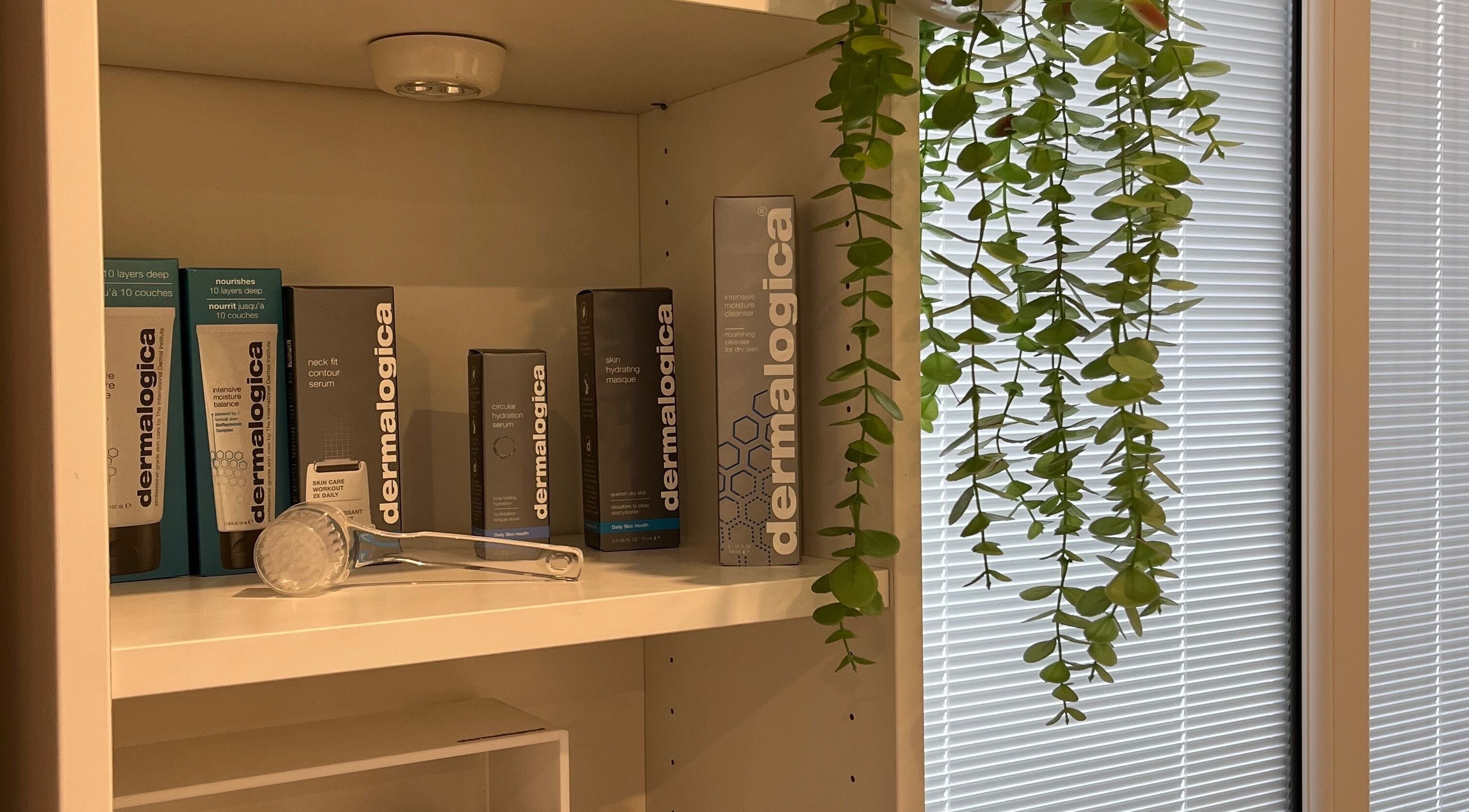 Shelves with Dermalogica products at Ls Aesthetics, Miskin, Wales, GB, adorned with decorative greenery.