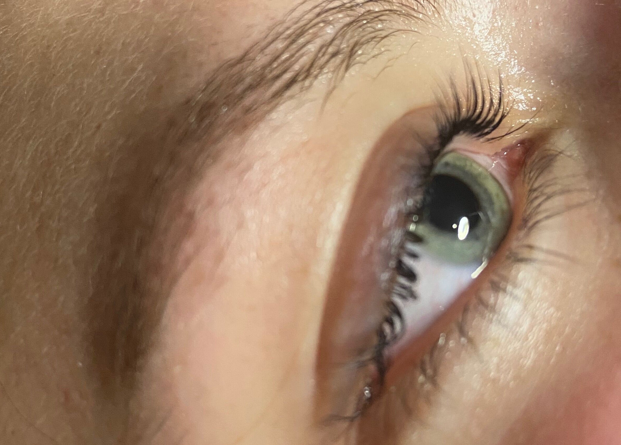 Close-up of styled eyelashes at Sunset Waxing Beauty Studio, Melbourne, Victoria, AU.
