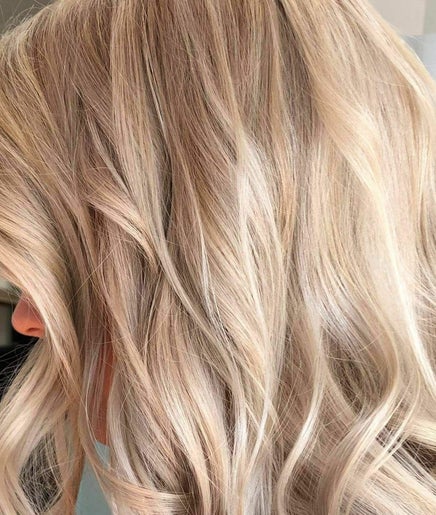 Hair Artist Alexandra image 2