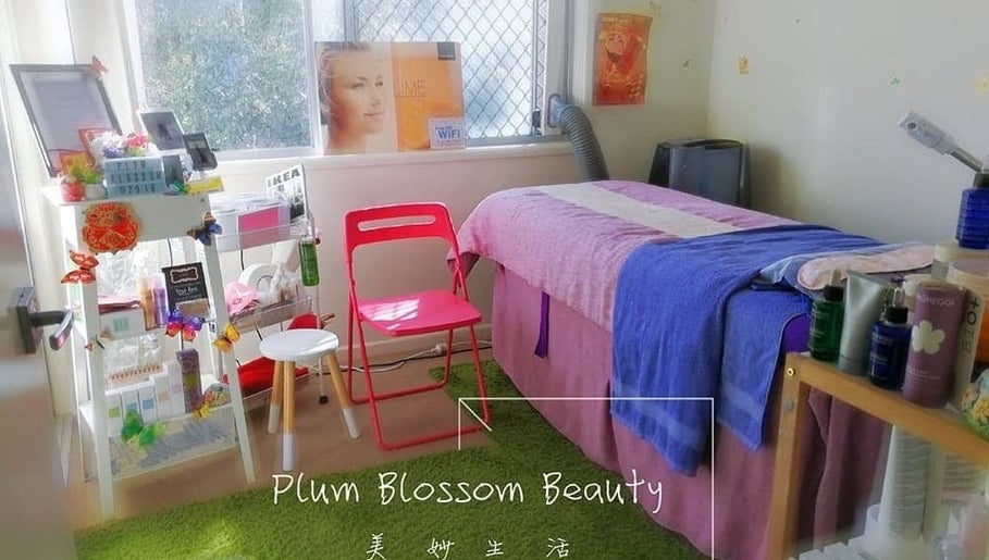 Plum Blossom Beauty image 1