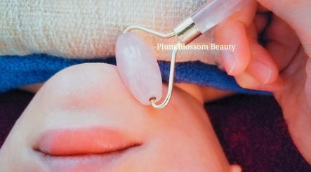 Plum Blossom Beauty image 3