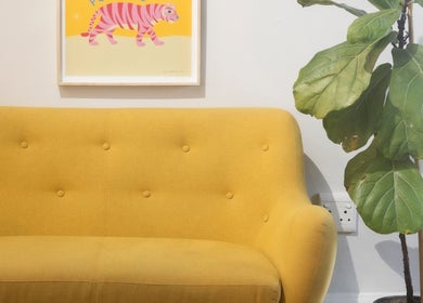 Yellow sofa and plant at Salome the Salon Stellenbosch, Stellenbosch, Western Cape, ZA.