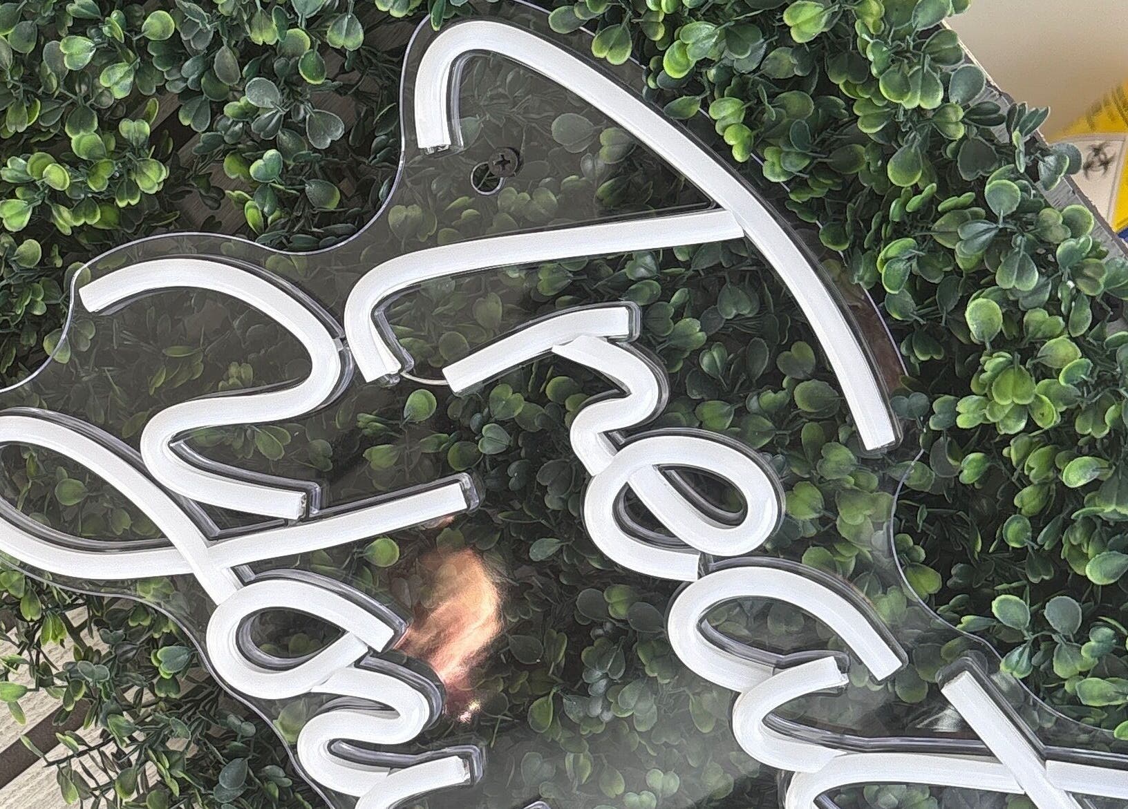 Neon sign with lush green backdrop at Forever Graceful Beauty & Aesthetics, Sunderland, England, GB.