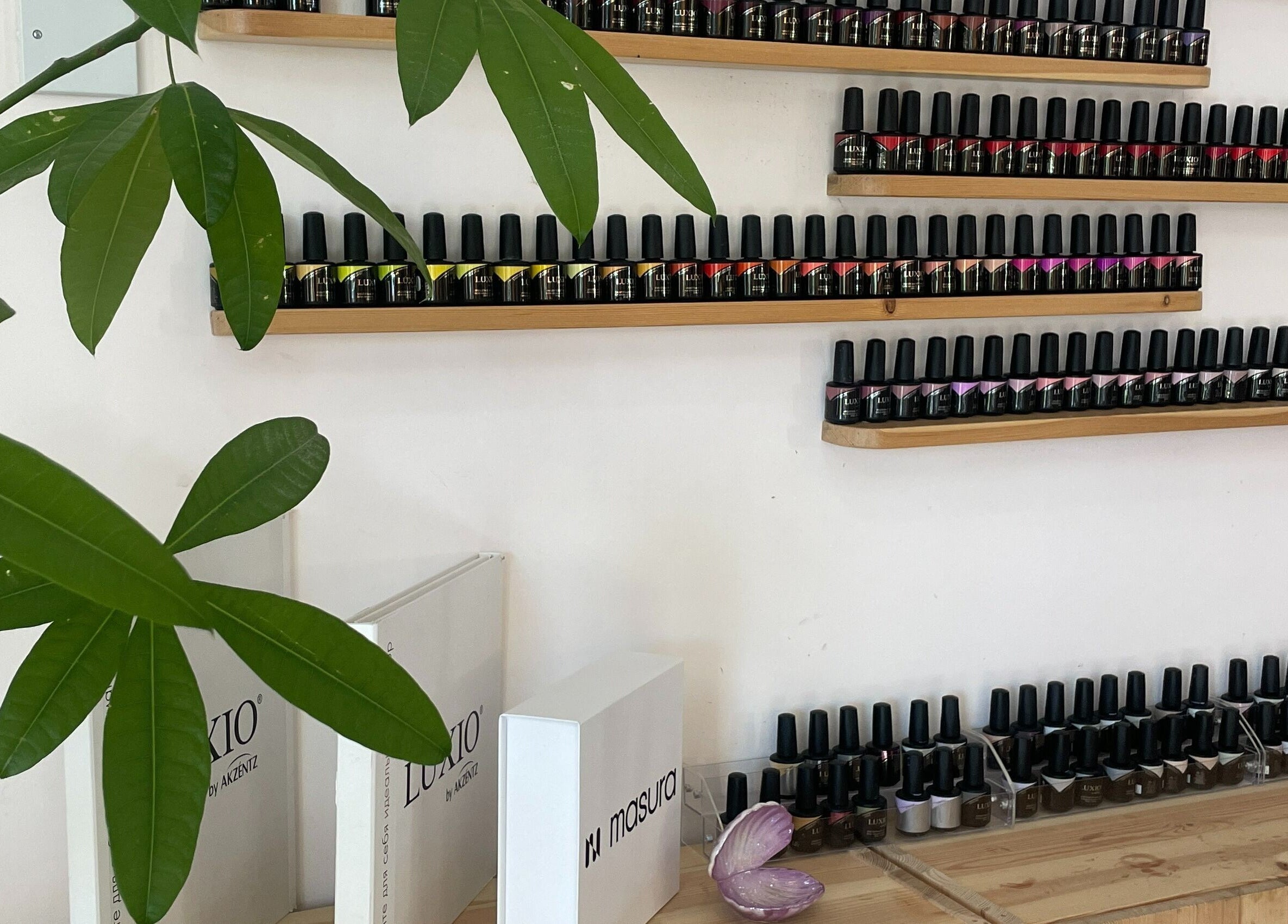 Nail polishes neatly displayed at NG Dollhouse in Germasogeia, Limassol, CY, surrounded by lush green leaves.