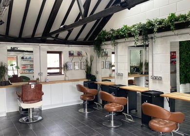 Elegant salon interior at Seacombe & Co. in Chichester, England, GB with modern chairs and lush greenery.