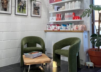 Cozy lounge at Seacombe & Co., Chichester, England, GB with green chairs, table, products, and wall art.