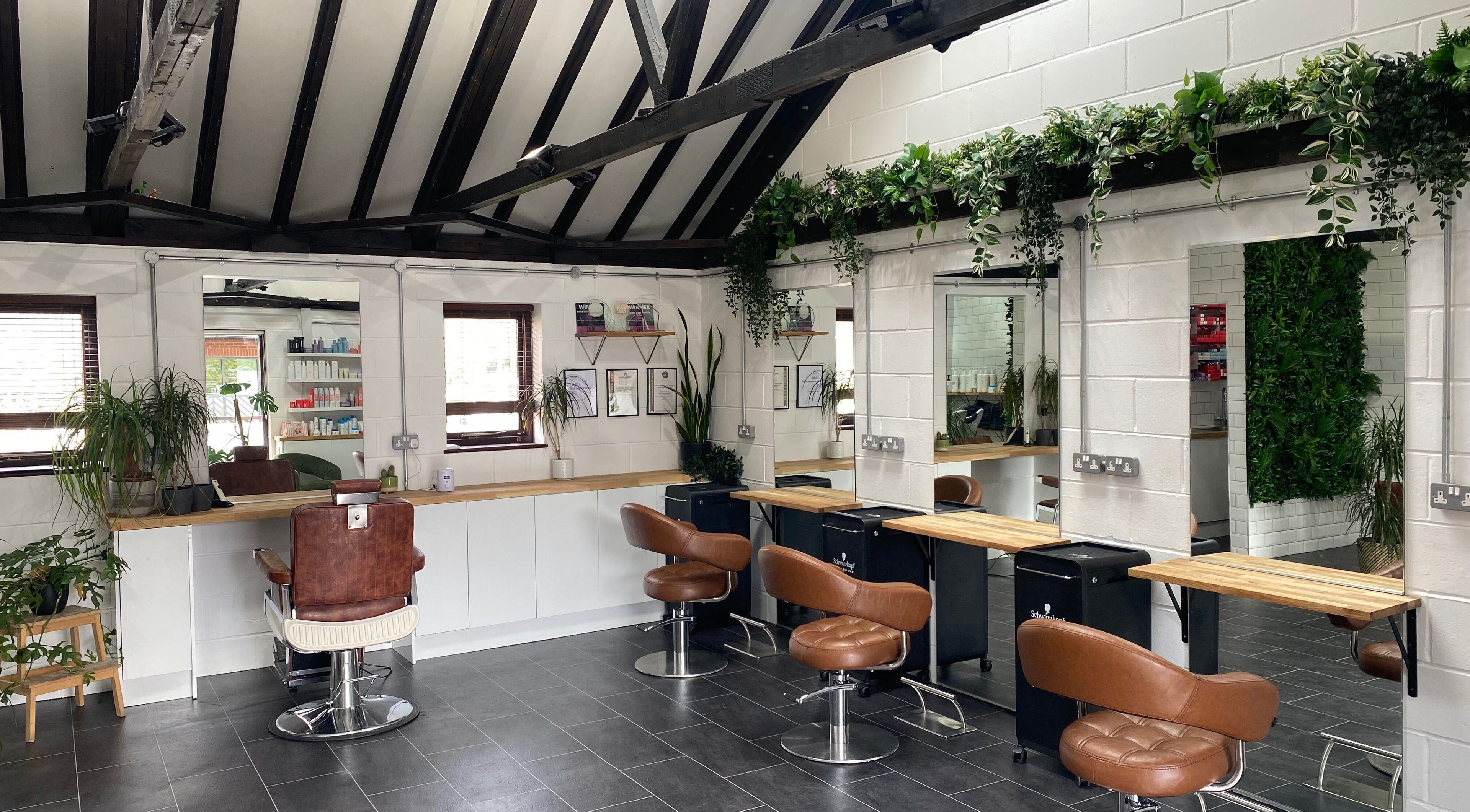 Chic salon interior at Seacombe & Co., Chichester, England, GB featuring modern chairs and lush greenery.