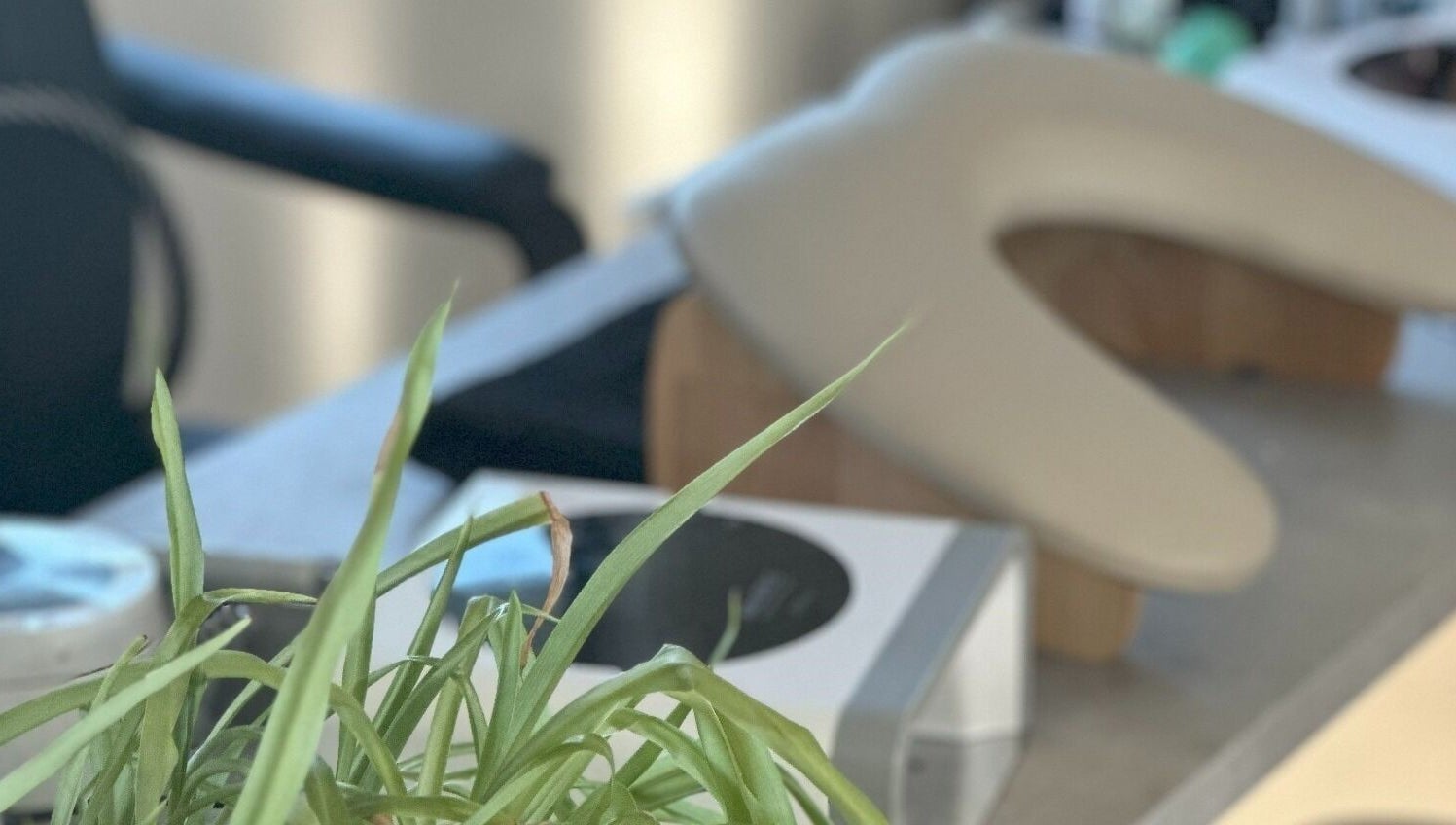 Relaxing spa setup at Red Desert Beauty, Uleybury, South Australia, AU, featuring lush greenery.