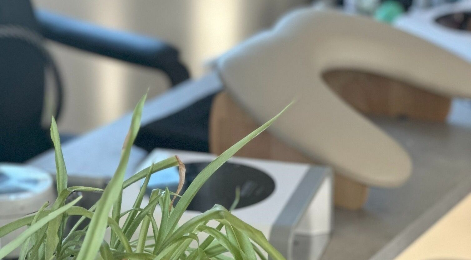Relaxing spa setup at Red Desert Beauty, Uleybury, South Australia, AU, featuring lush greenery.