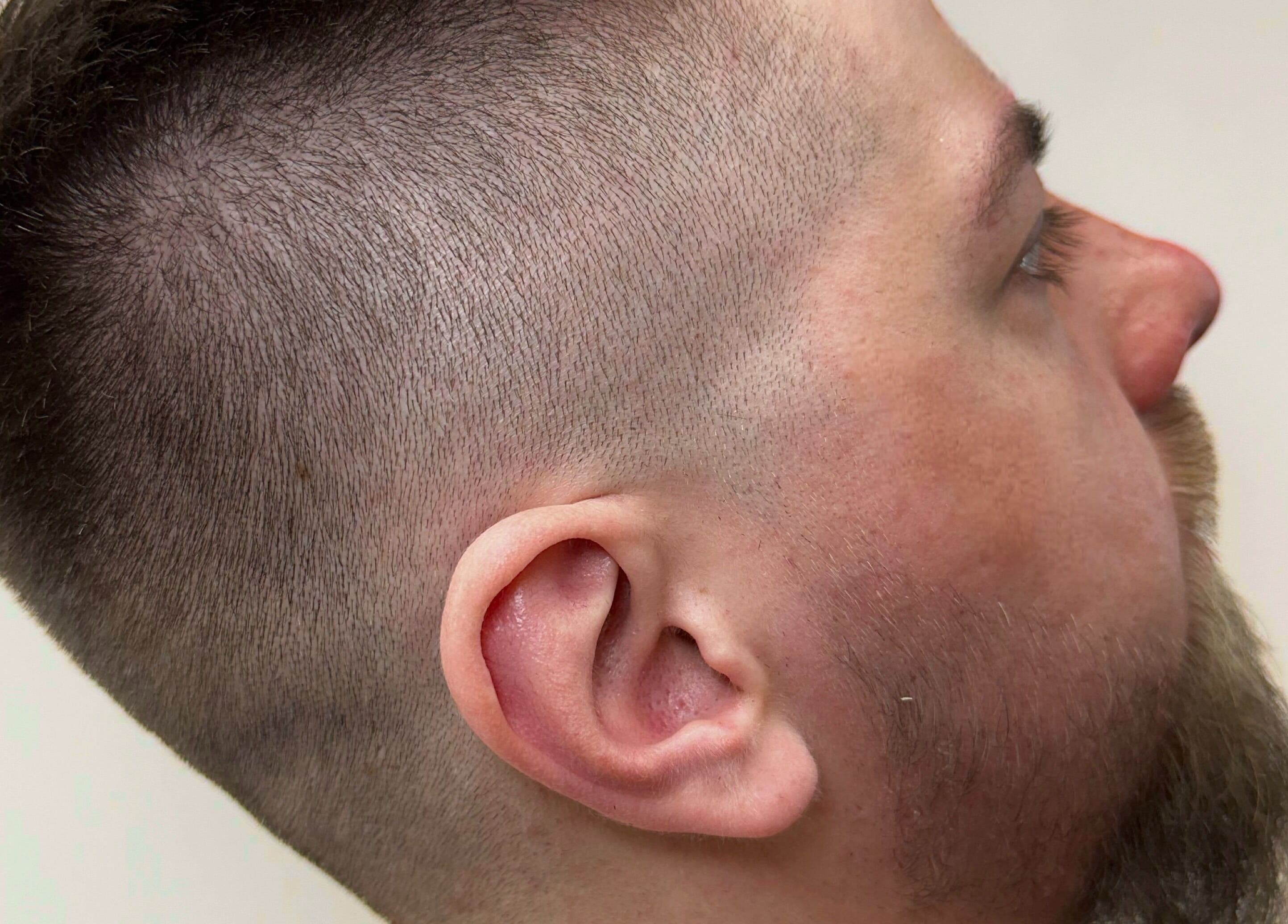 Close-up of a fresh haircut at SBI SALON, Englishtown, New Jersey, US, highlighting modern fade style.