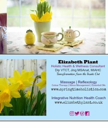 Springtime Holistics - Yew Tree Wellness, Carr Lane, Chorley, Alderley Edge SK9 7SL image 2