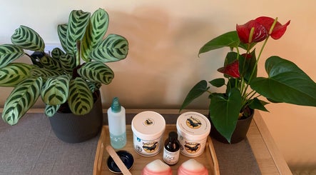 Spa products and plants at Alex Hammond Knowles, Berkhamsted, England, GB.
