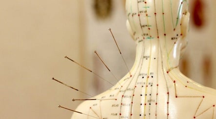 Whole Body Works image 3