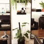 Crowning Glory Male Hair Salon