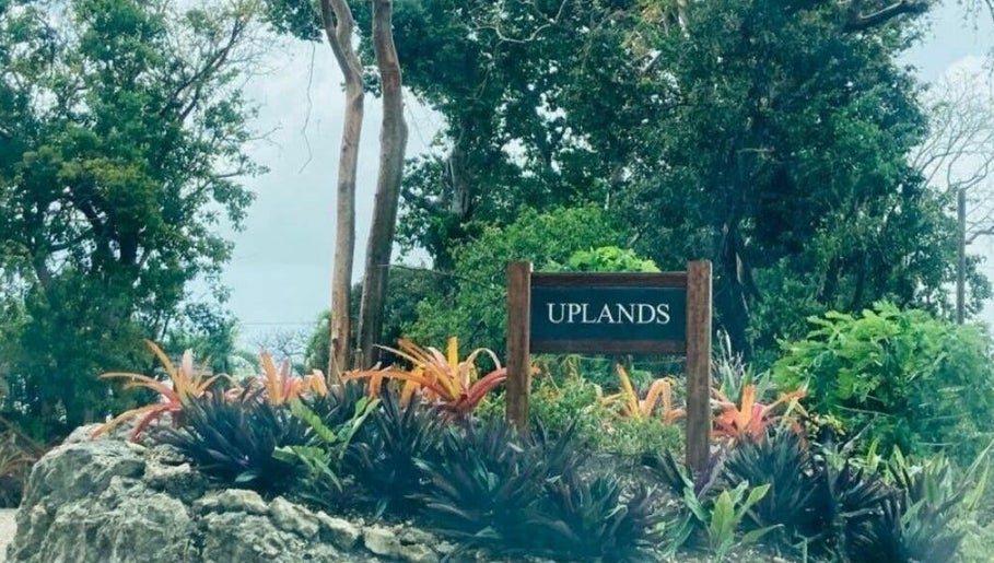 Uplands Squash Barbados image 1