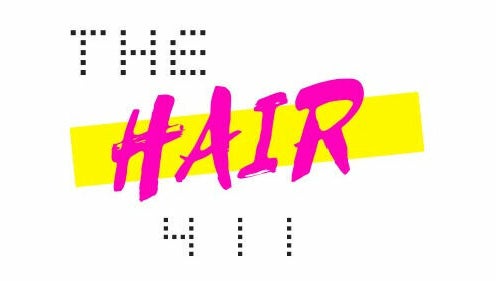 The Hair 411 image 1
