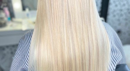 The Hair 411 image 3