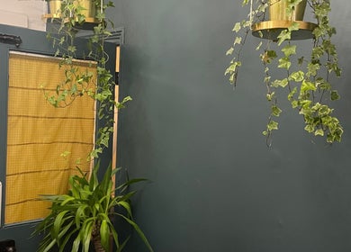 Lush green plants adorning the calming interior of Jane Edwards in London, England, GB.