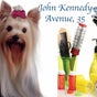 Lycoriana Pet Shop And Grooming Salon | John Kennedy Avenue - John Kennedy Avenue 35, Nicosia