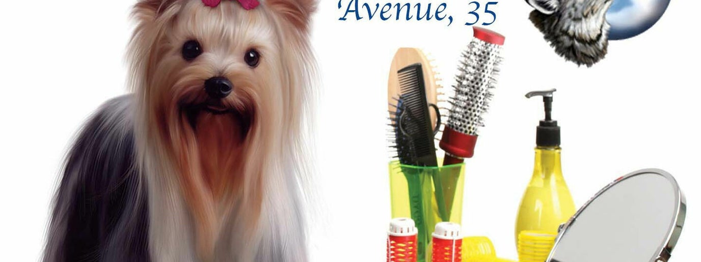 Εικόνα Lycoriana Pet Shop And Grooming Salon | John Kennedy Avenue 1