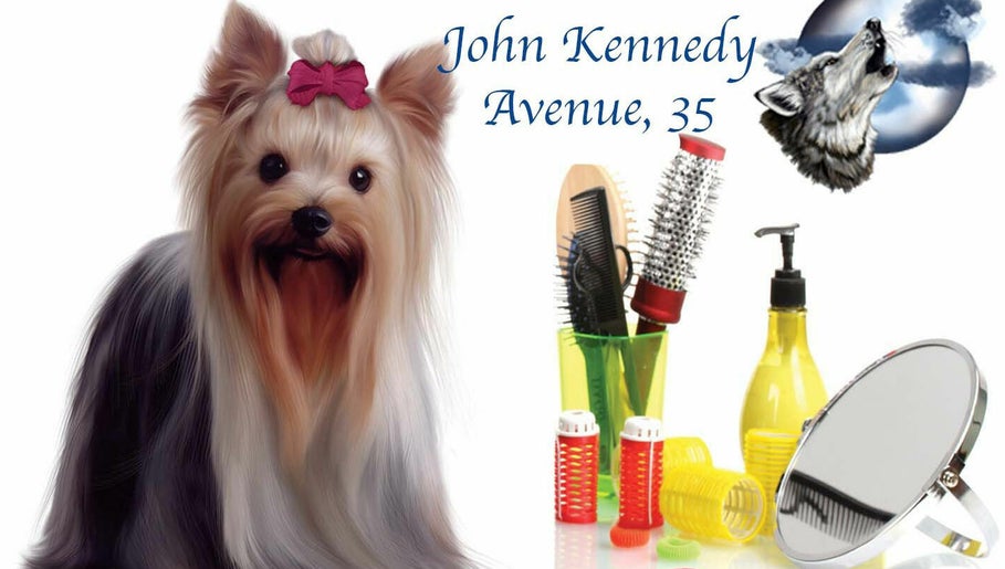 Εικόνα Lycoriana Pet Shop And Grooming Salon | John Kennedy Avenue 1