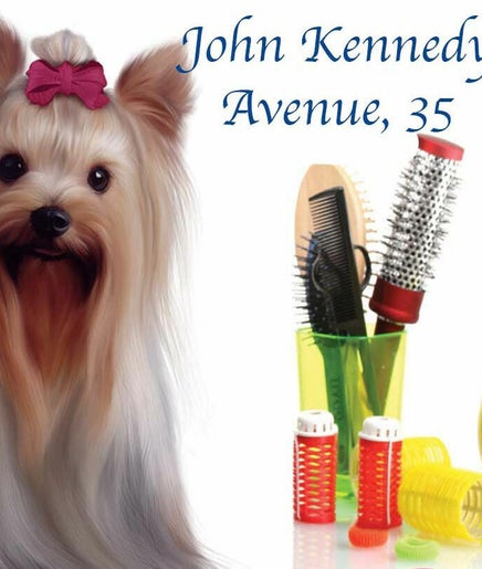 Lycoriana Pet Shop And Grooming Salon | John Kennedy Avenue Bild 2