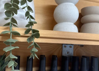 Decorative shelves with plants at Hygge Beauty Room, West Molesey, England, GB.