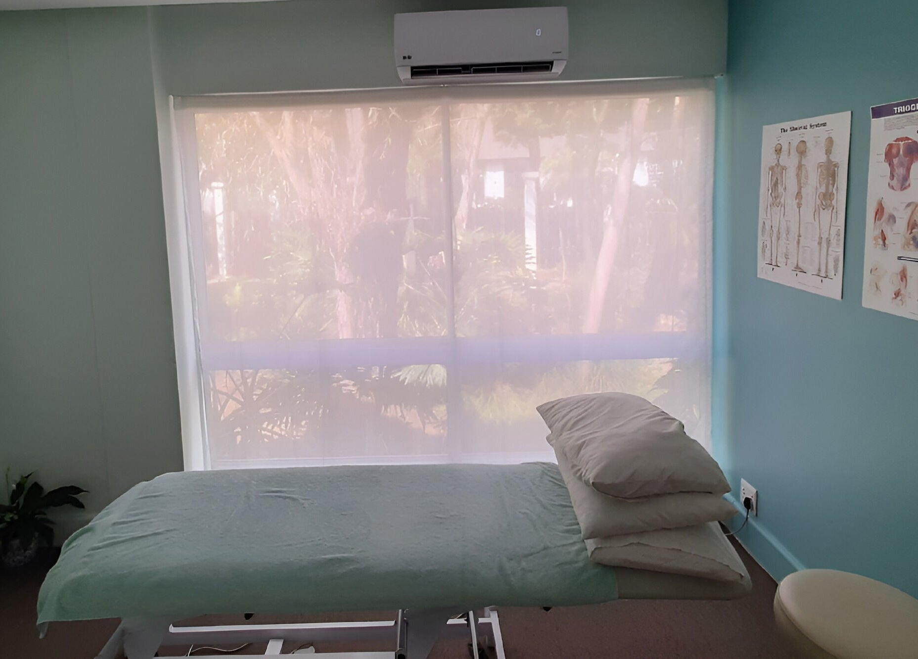 Peaceful therapy room at Wilien Strydom Physiotherapy, Somerset West, Western Cape, ZA with massage bed and anatomy charts.