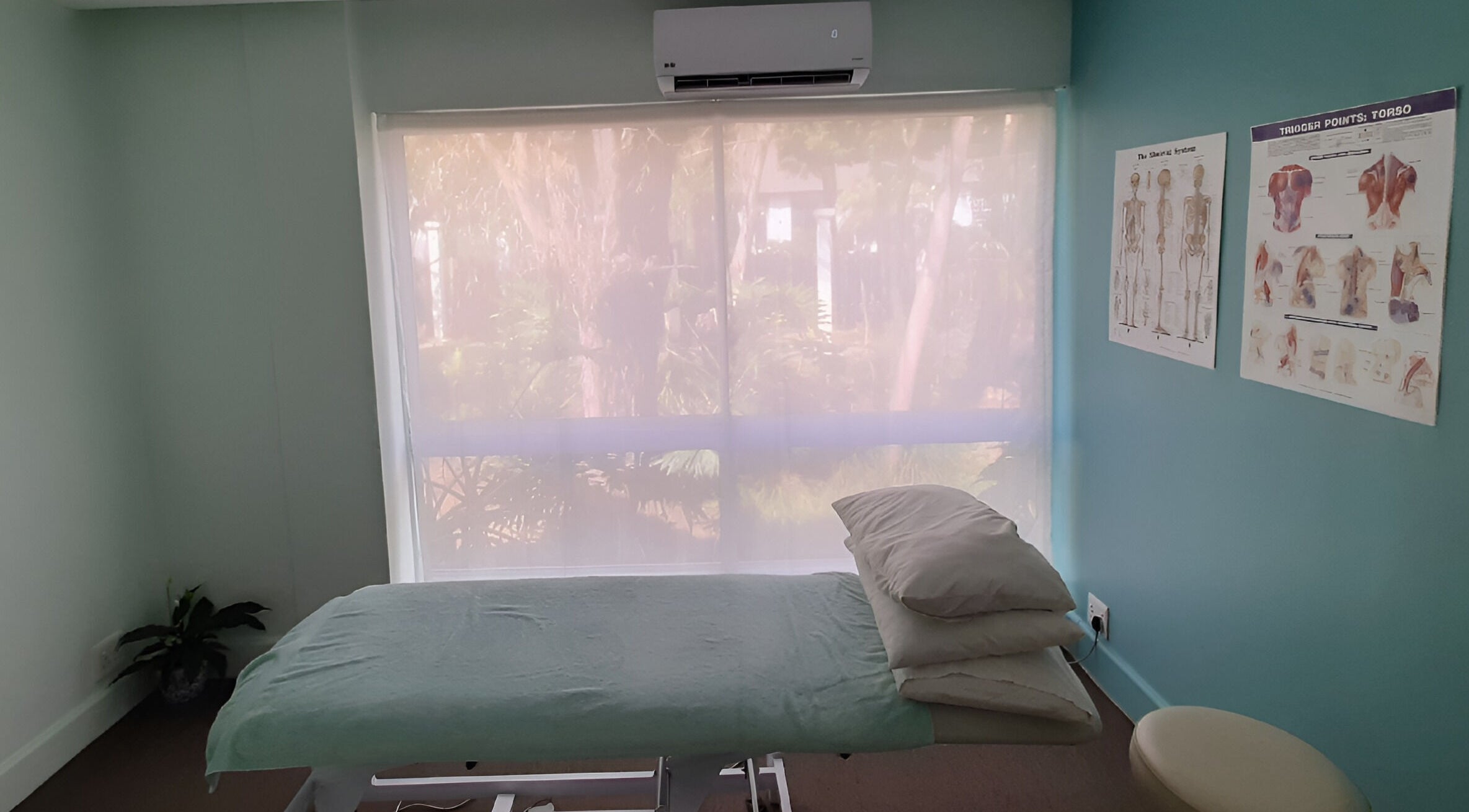 Peaceful therapy room at Wilien Strydom Physiotherapy, Somerset West, Western Cape, ZA with massage bed and anatomy charts.