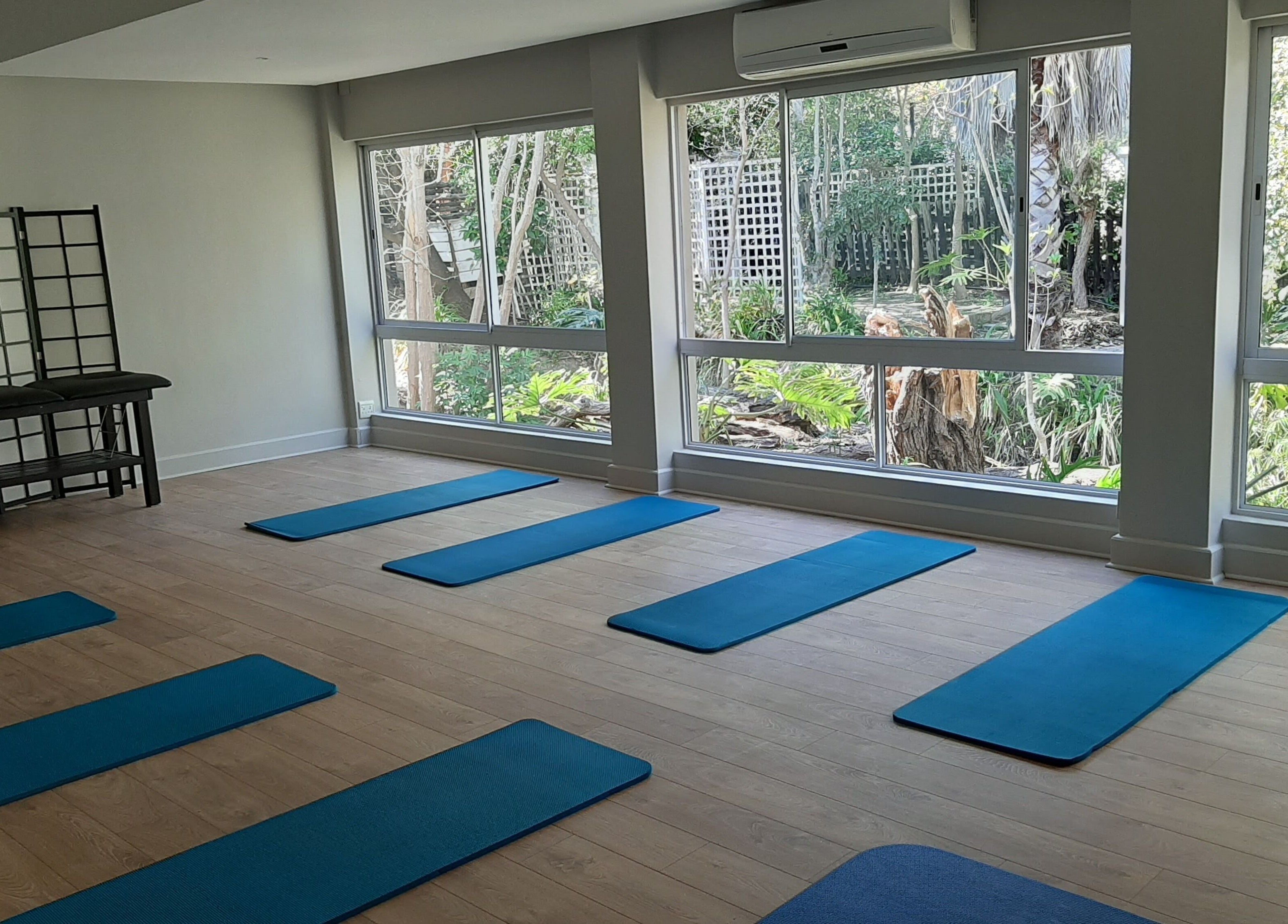 Peaceful yoga studio at Wilien Strydom Physiotherapy, Somerset West, Western Cape, ZA with blue mats.