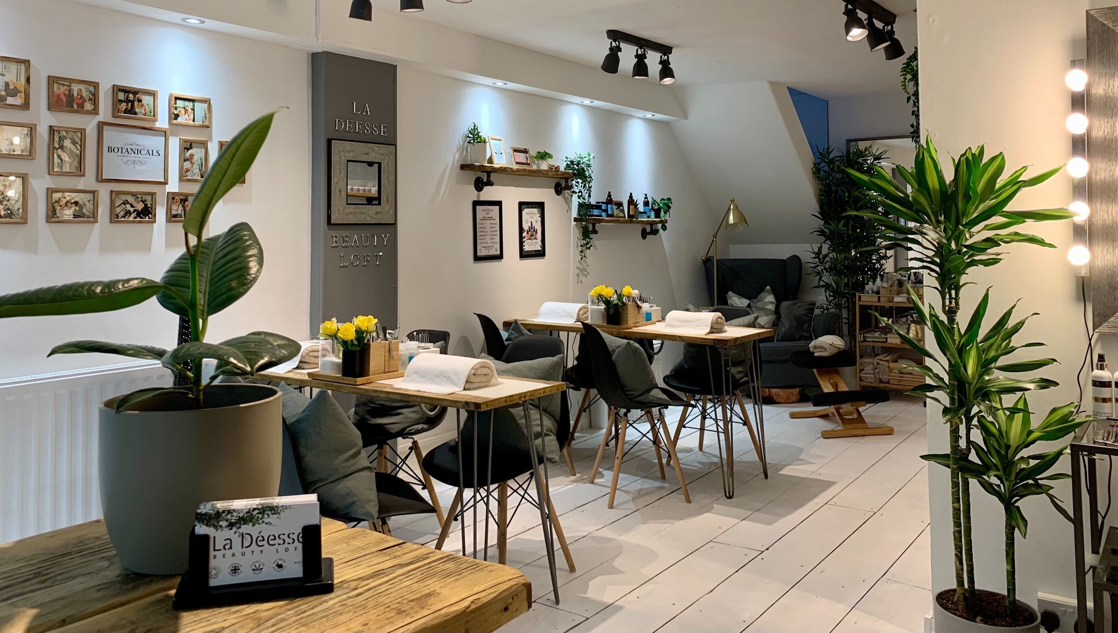 Calming interior of La Déesse Beauty Loft, Bath, England, GB with plants and elegant décor.