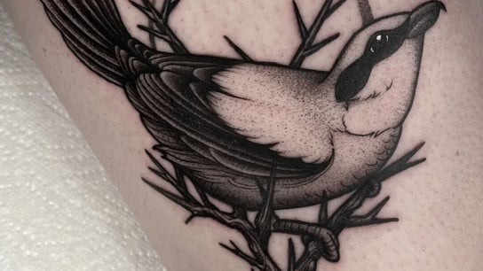 Tiffany S. - Tattooist