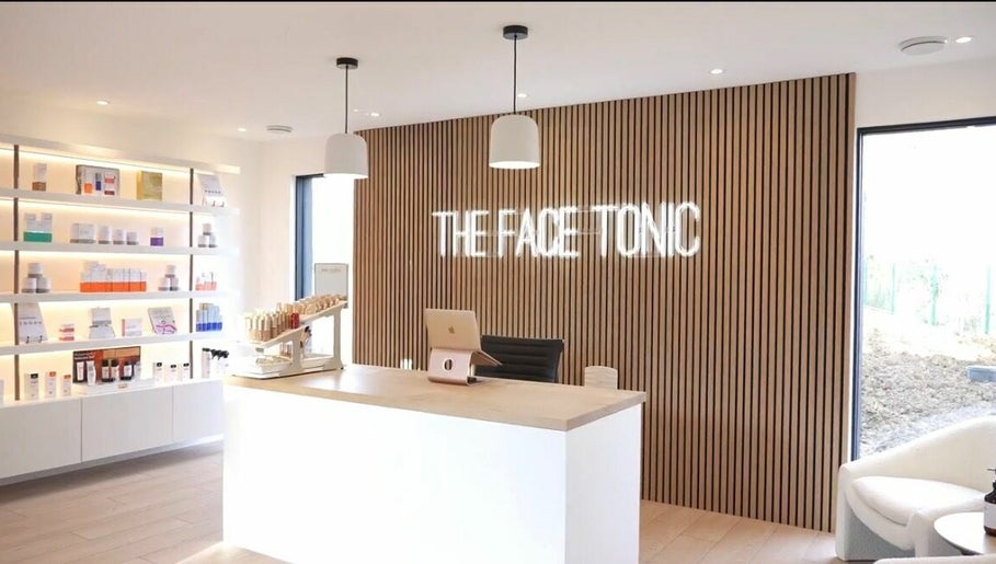 The Face Tonic HQ - Pharisee Green billede 1