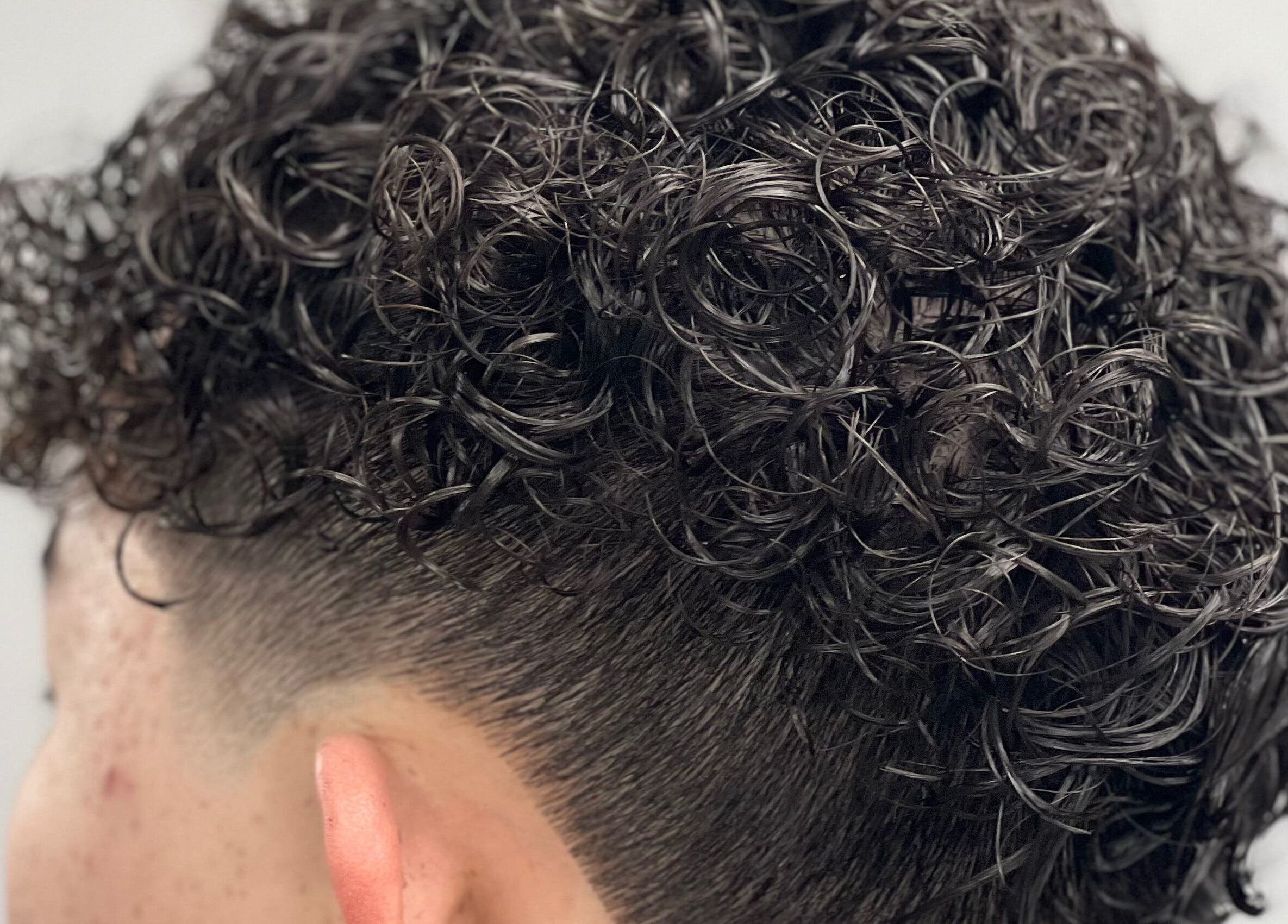 Close-up of trendy curly fade hairstyle at Passion Salon and Spa (Victoria Ave East), Regina, Saskatchewan, CA.