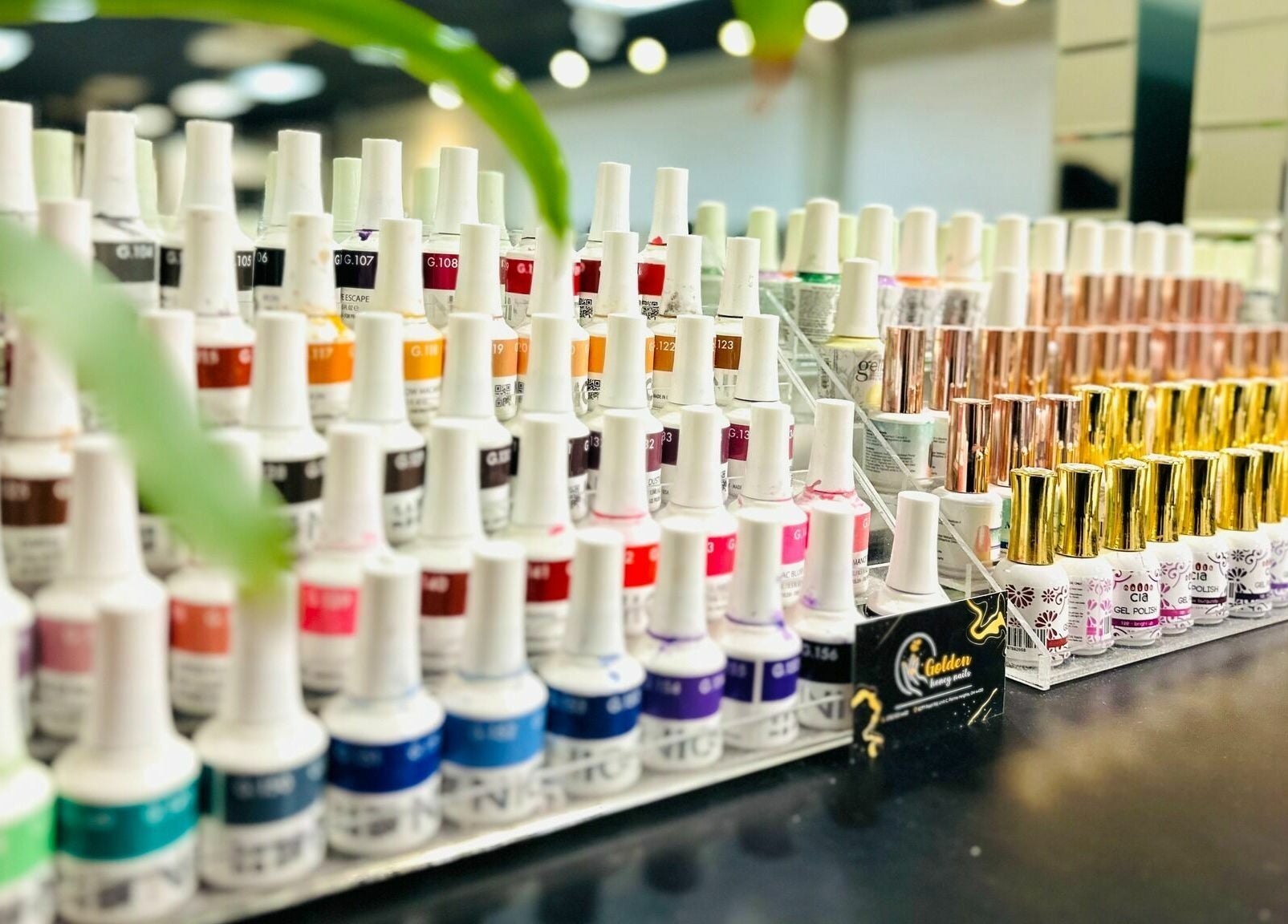 Diverse nail polish collection at Golden Honey Nails and Spa, Parma Heights, Ohio, US.